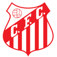 Capivariano FC SP Youth