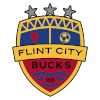 Logo Flint City Bucks